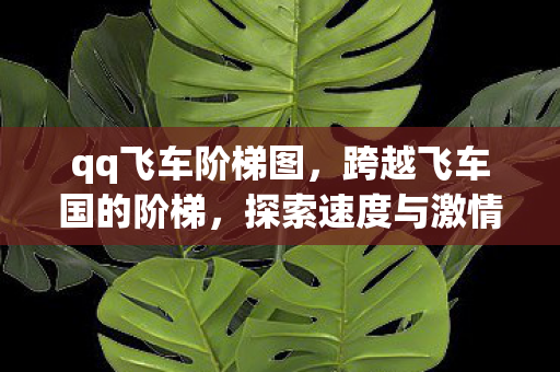 探索速度与激情的极限图片