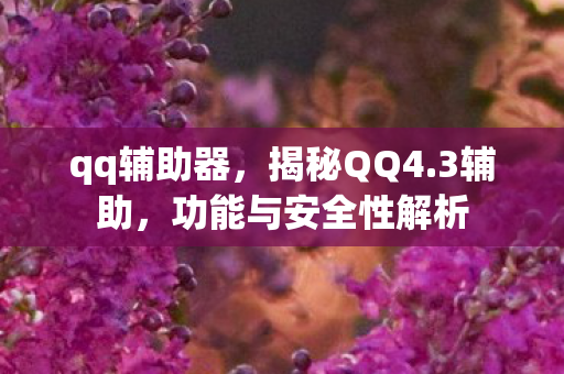 功能与安全性解析图片