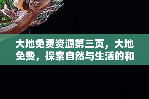 探索自然与生活的和谐共存图片