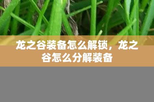 龙之谷装备怎么解锁图片