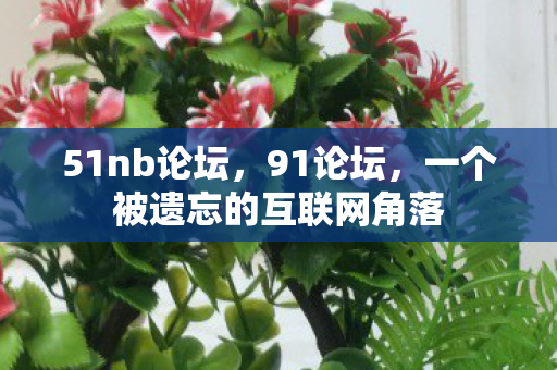 51nb论坛，91论坛，一个被遗忘的互联网角落