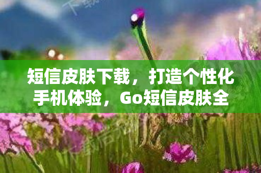 短信皮肤下载，打造个性化手机体验，Go短信皮肤全解析