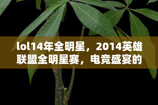 2014英雄联盟全明星赛图片