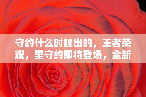 守约什么时候出的图片