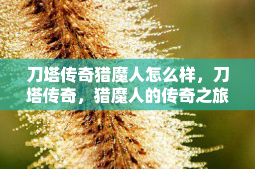 刀塔传奇猎魔人怎么样图片