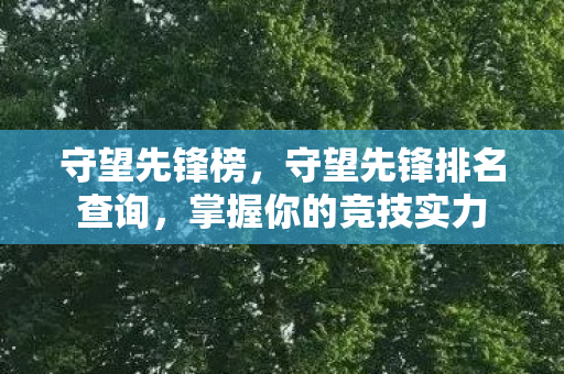 守望先锋排名查询图片