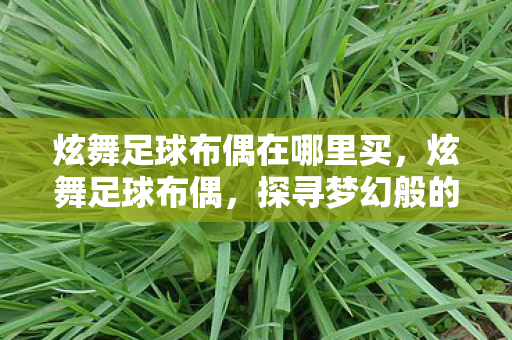 炫舞足球布偶在哪里买，炫舞足球布偶，探寻梦幻般的足球文化魅力