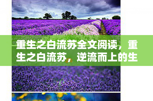 重生之白流苏全文阅读图片