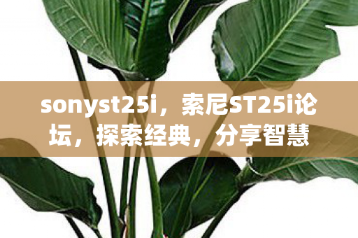 sonyst25i图片