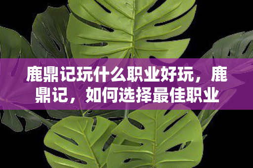 鹿鼎记玩什么职业好玩图片