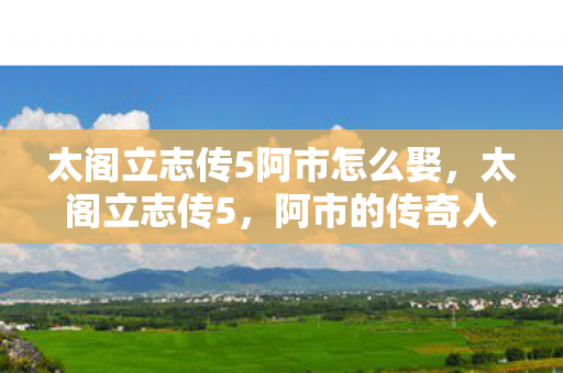 太阁立志传5阿市怎么娶图片