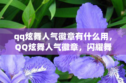 qq炫舞人气徽章有什么用，QQ炫舞人气徽章，闪耀舞界的荣耀象征