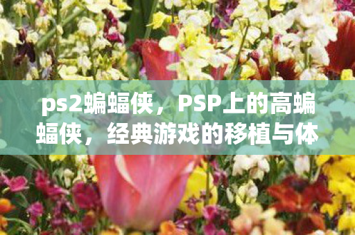 经典游戏的移植与体验图片