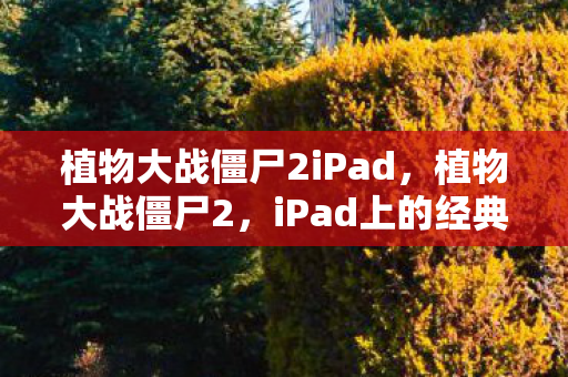 iPad上的经典塔防游戏新体验图片