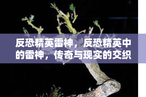 反恐精英中的雷神图片