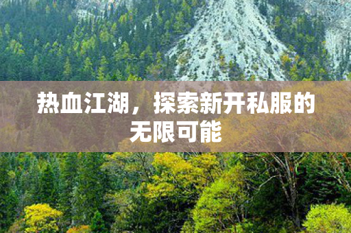 探索新开私服的无限可能图片