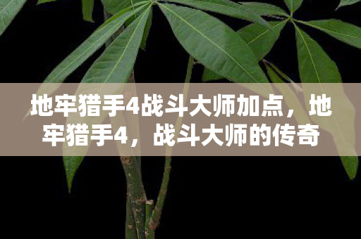 地牢猎手4战斗大师加点，地牢猎手4，战斗大师的传奇之旅