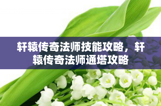 轩辕传奇法师技能攻略，轩辕传奇法师通塔攻略