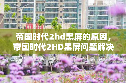 帝国时代2HD黑屏问题解决方案图片