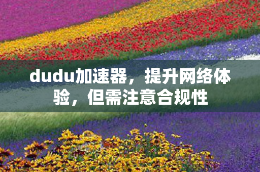 dudu加速器图片