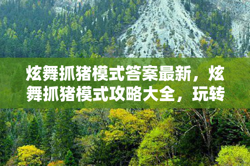 炫舞抓猪模式答案最新，炫舞抓猪模式攻略大全，玩转游戏，成为抓猪达人！