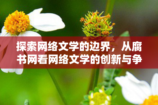 从腐书网看网络文学的创新与争议图片