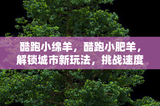 解锁城市新玩法图片