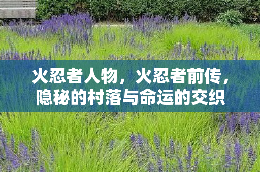 隐秘的村落与命运的交织图片