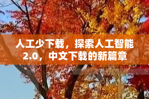 中文下载的新篇章图片