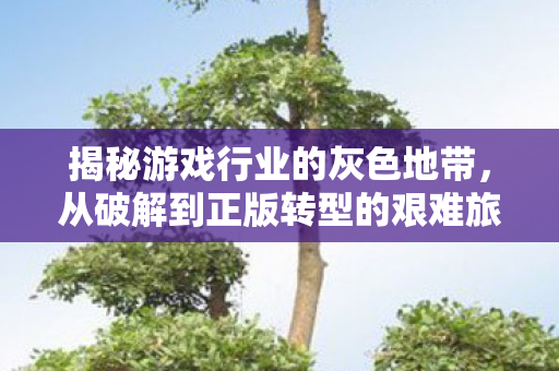 从破解到正版转型的艰难旅程图片