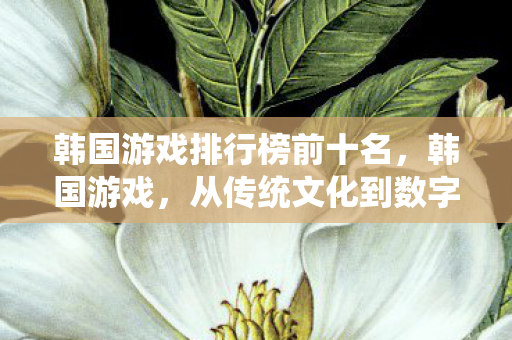 从传统文化到数字娱乐的华丽转身图片