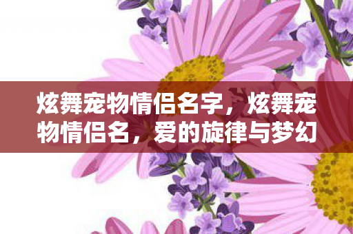 炫舞宠物情侣名字，炫舞宠物情侣名，爱的旋律与梦幻之旅