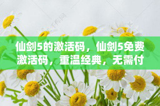 仙剑5免费激活码图片