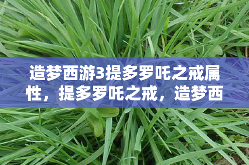 造梦西游3提多罗吒之戒属性，提多罗吒之戒，造梦西游3中的神秘法宝