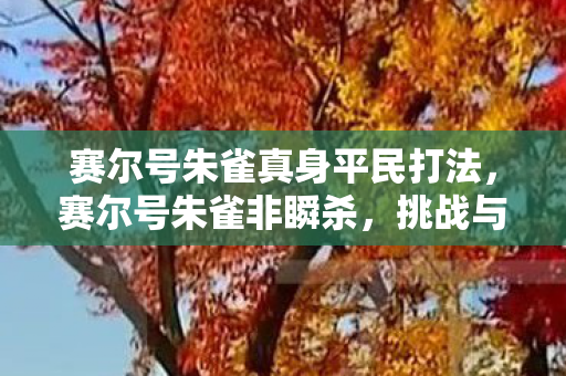 赛尔号朱雀真身平民打法，赛尔号朱雀非瞬杀，挑战与策略的深度解析