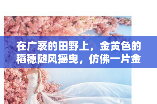 有一群默默无闻的守护者图片