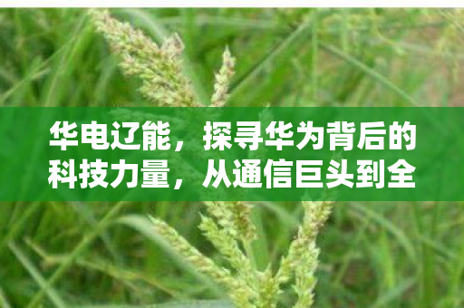 从通信巨头到全球创新引领者图片