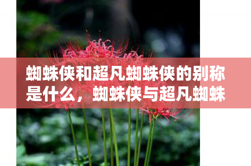 蜘蛛侠和超凡蜘蛛侠的别称是什么图片