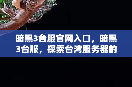 探索台湾服务器的独特魅力图片