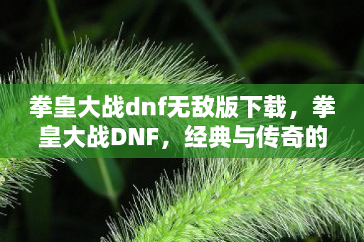拳皇大战dnf无敌版下载图片