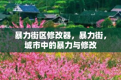 城市中的暴力与修改图片