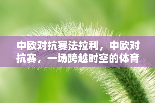 一场跨越时空的体育盛宴图片