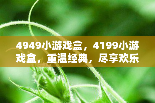 4949小游戏盒图片