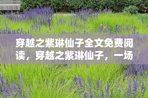 穿越之紫琳仙子全文免费阅读图片