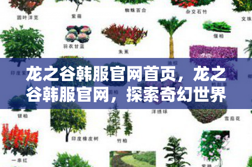 龙之谷韩服官网首页图片