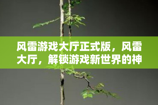 解锁游戏新世界的神秘钥匙图片