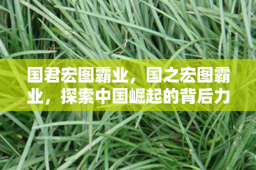 探索中国崛起的背后力量图片