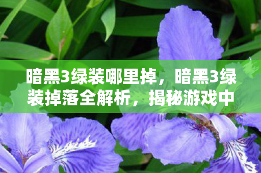 暗黑3绿装掉落全解析图片