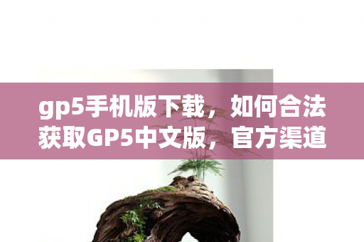 如何合法获取GP5中文版图片