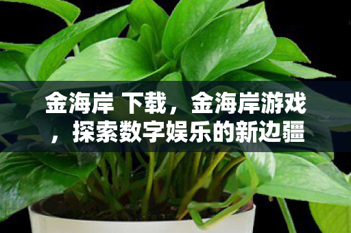 探索数字娱乐的新边疆图片